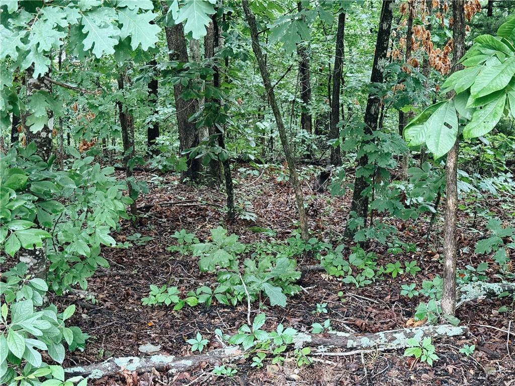 Bella Vista, AR 72714,Cranfield Dr
