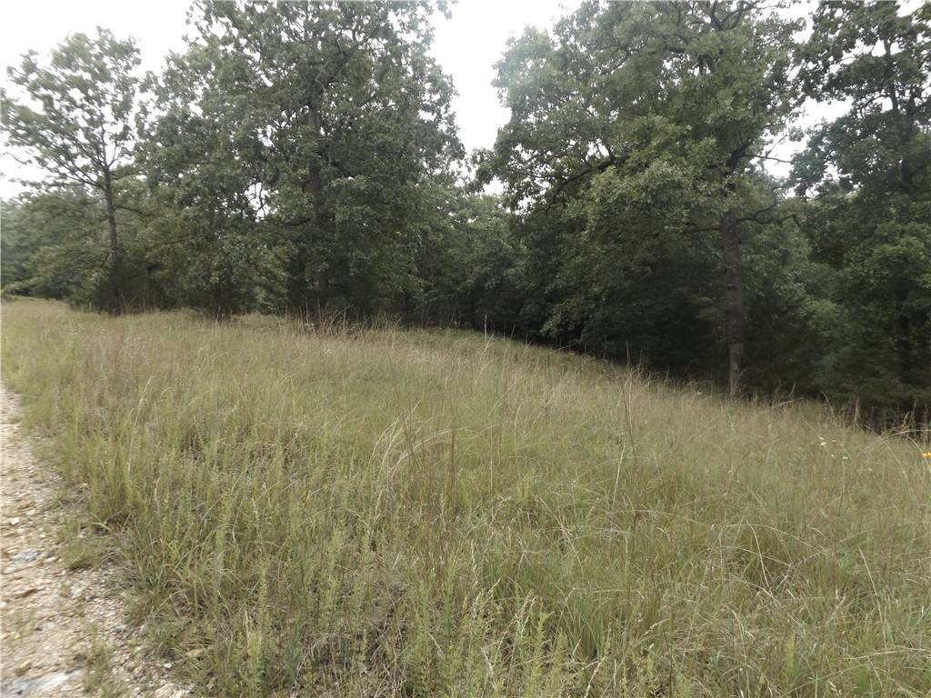 Mountain Home, AR 72653,Tract 1,2,3,4 Sherwood Hills Dr