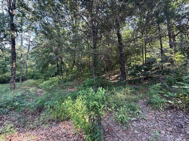 Dardanelle, AR 72834,Needles Ct