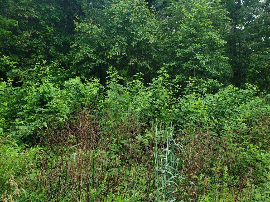 Bella Vista, AR 72715,Ironside Ln