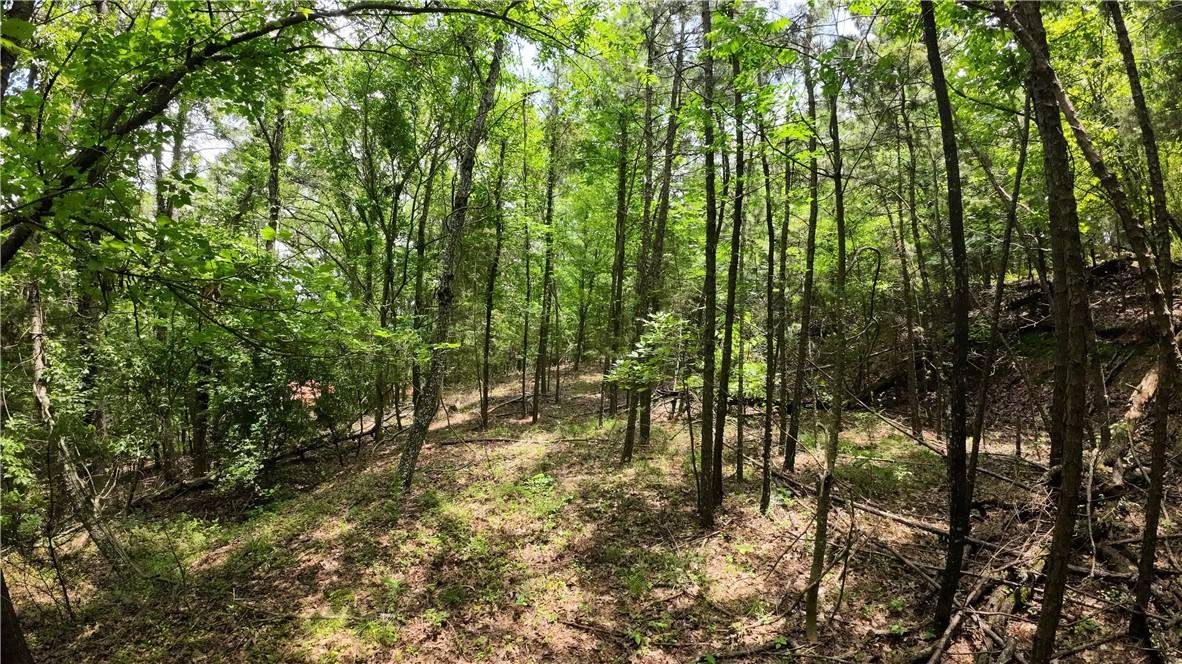 Russellville, AR 72802,000 Long Gum Ln