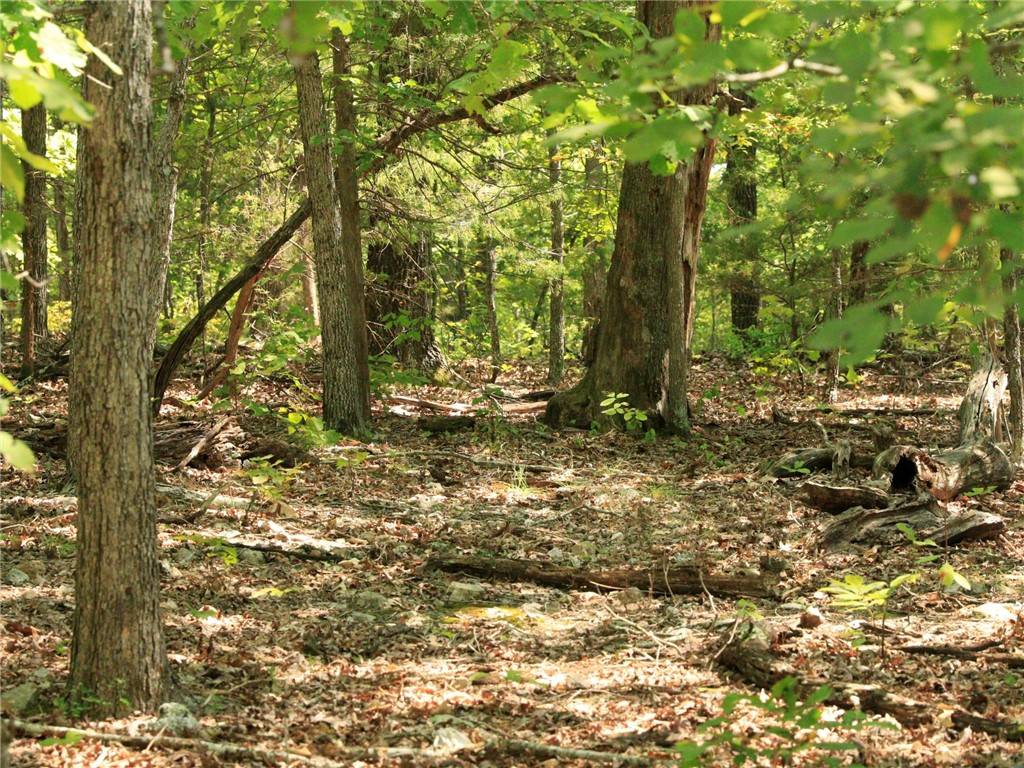 Horseshoe Bend, AR 72512,1303 Red Bird Ln