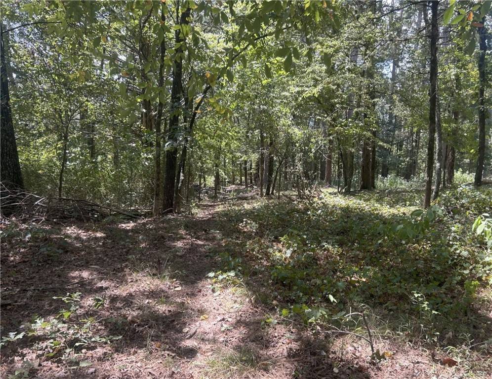 Oark, AR 72852,HWY 215