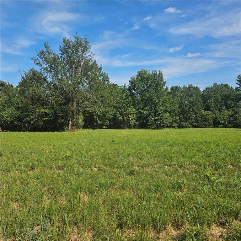 Dardanelle, AR 72834,BARK Ln