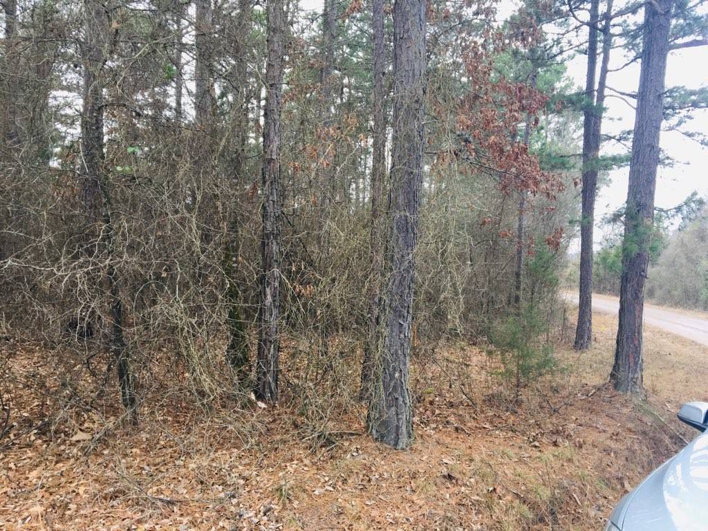 London, AR 72847,95 Eagles Nest, CR 1788