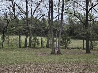 Dardanelle, AR 72834,10140 Backwood Ln