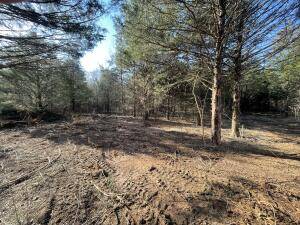 Clarksville, AR 72830,183 CR 3339