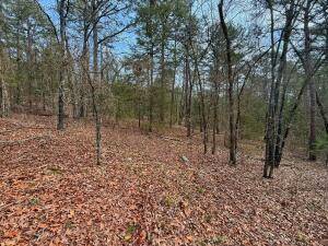 Russellville, AR 72802,538 Lake Ridge Dr
