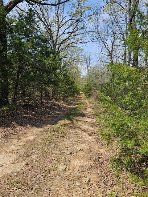 London, AR 72847,W Chimney Rock Road West