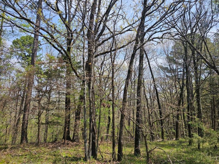 London, AR 72847,W Chimney Rock Road West