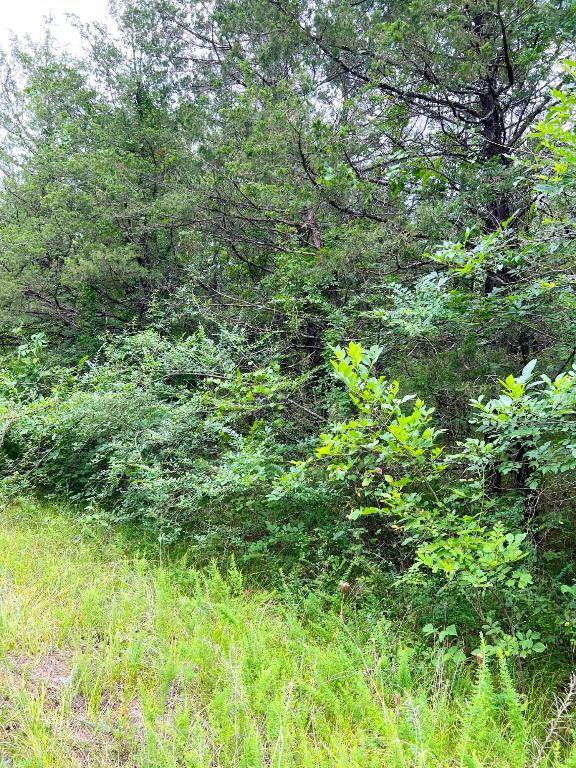Diamond City, AR 72644,TBD E Cedar Ln