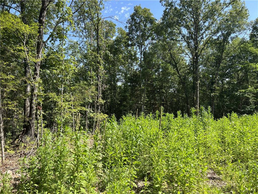 Harrison, AR 72601,47 Cedar Crk Dr