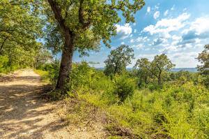 Peel, AR 72668,Tract 4 MC 8025