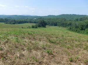 Western Grove, AR 72685,Mt Hersey Rd