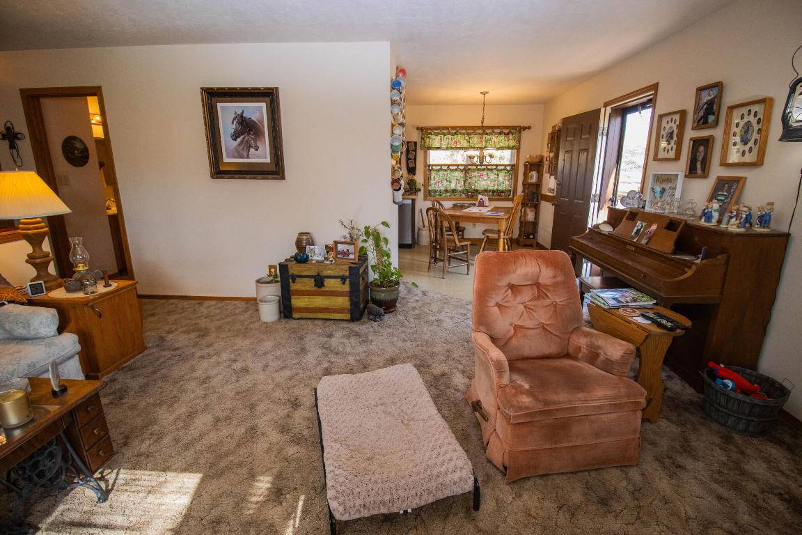 Branson, MO 65616,124 Rose ONeill Dr