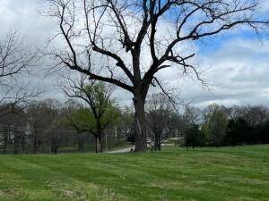 Harrison, AR 72601,3113 Savannah Dr
