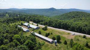 Pelsor, AR 72856,0 hwy 16