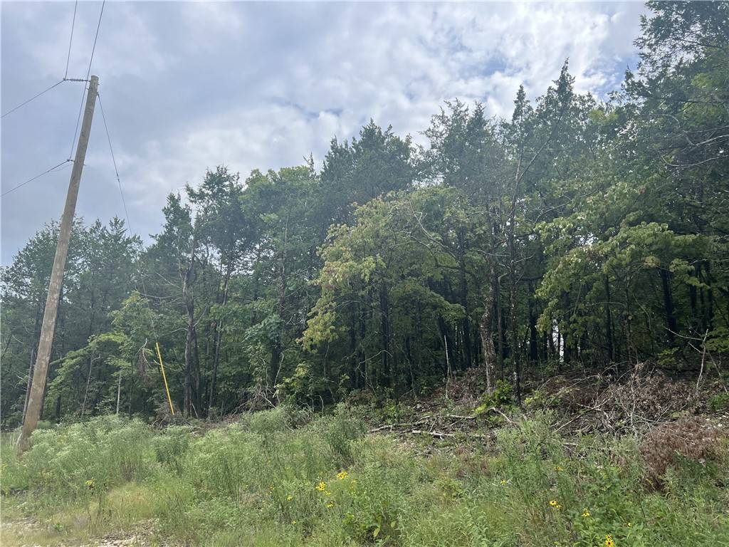 Harrison, AR 72601,Grassy Gap Rd