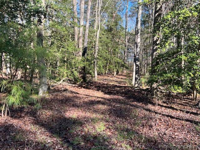 Burgess, VA 22473,Lot 3 Teal Court