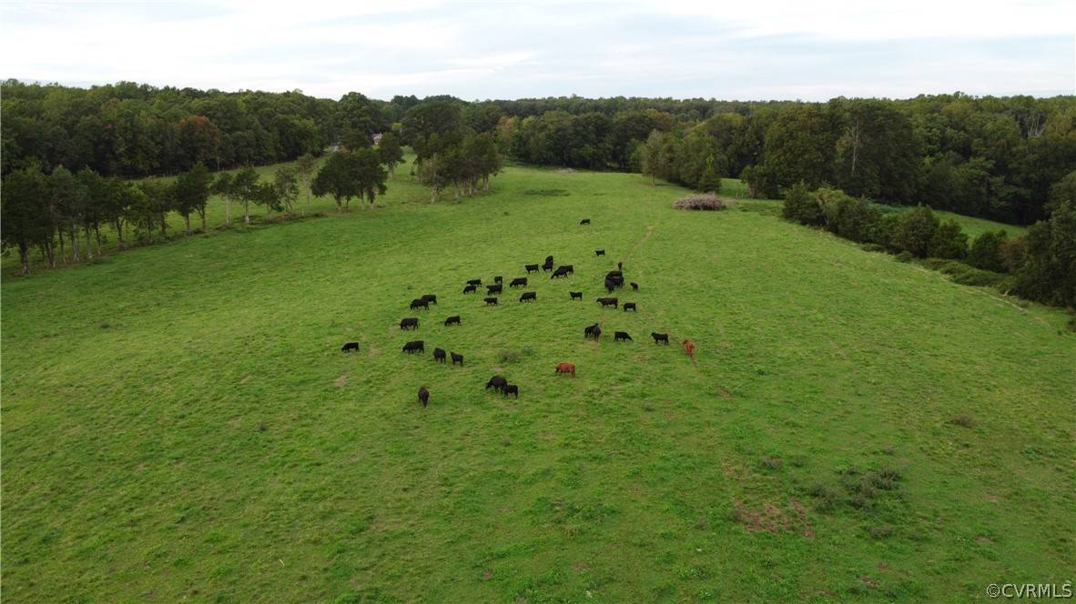 Maidens, VA 23102,00 Perkinsville Lot 7 RD