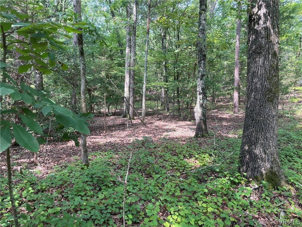 Bracey, VA 23919,Lot 23 Elaines Road