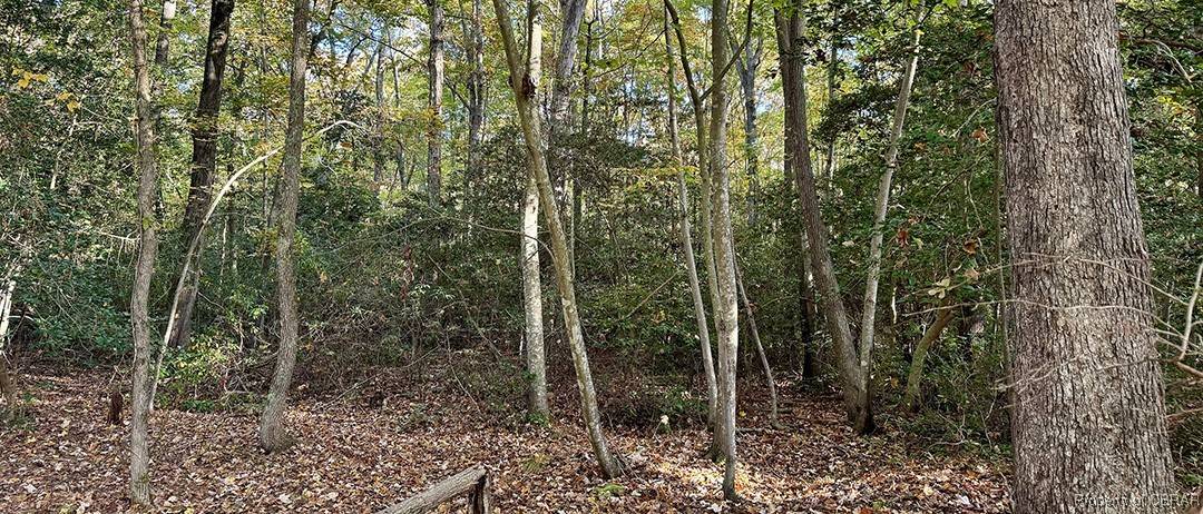 Heathsville, VA 22473,36(1)33 Jessie Dupont Memorial Highway
