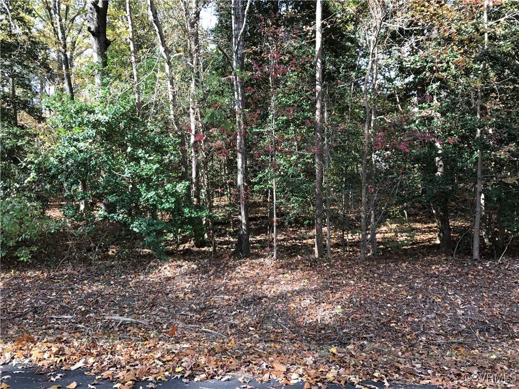 Ruther Glen, VA 22546,Lot 946A Oaklawn CIR