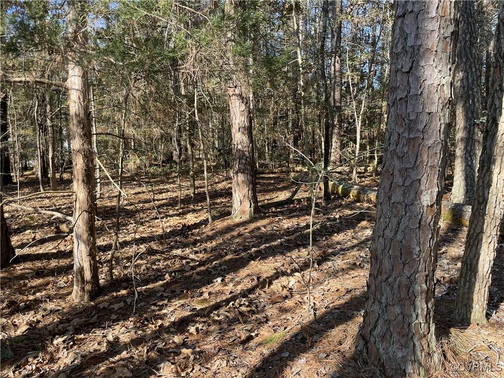 Bracey, VA 23919,00 Locust