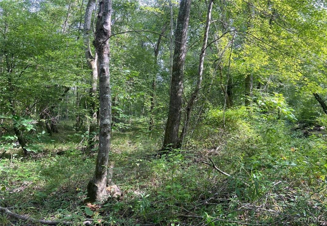 Spotsylvania, VA 22551,9323 Mill Pond Rd