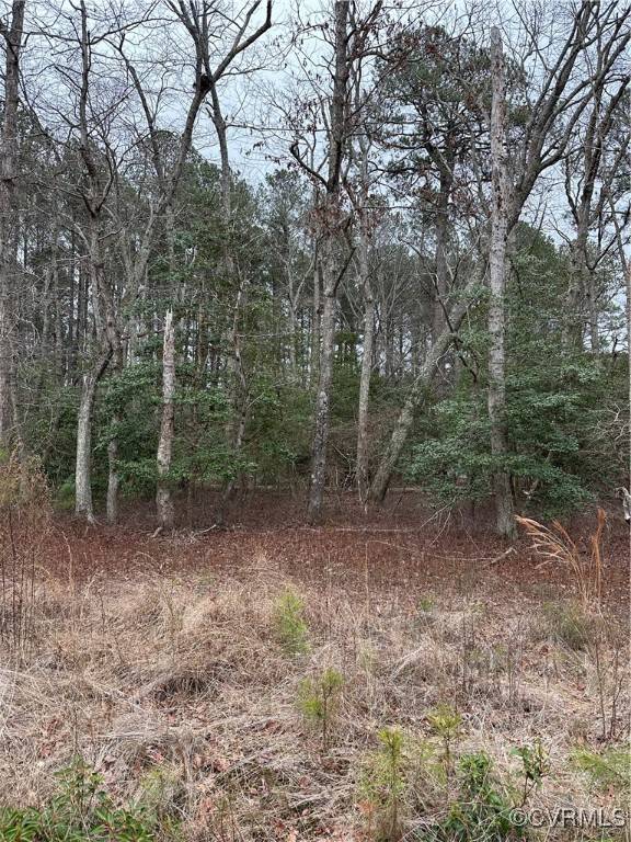 Heathsville, VA 22473,00 Presley Creek DR