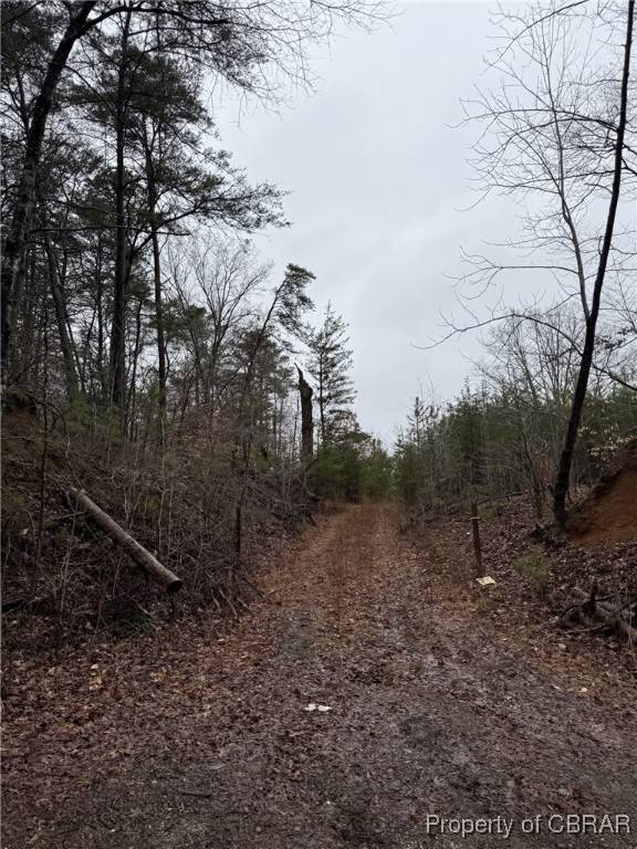 Dunnsville, VA 22454,6+ AC Cheaneys Bridge RD
