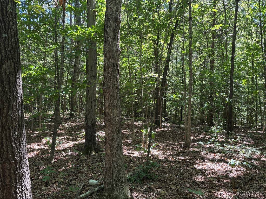 Rockville, VA 23146,2539 Oilville RD
