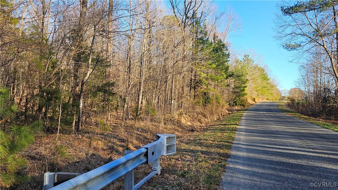 Amelia Courthouse, VA 23002,79.12 Acres RICHARDSON RD