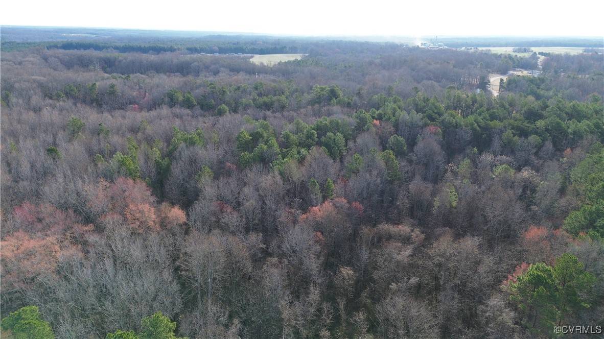 Ruther Glen, VA 22546,22175 Cool Water DR