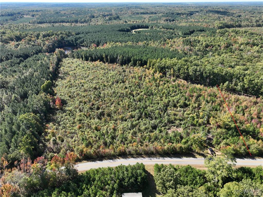 Victoria, VA 23924,10.97 Acre Tomlinson Road