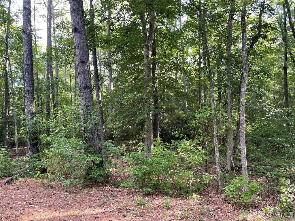 Lanexa, VA 23089,0 Two Rivers TRL