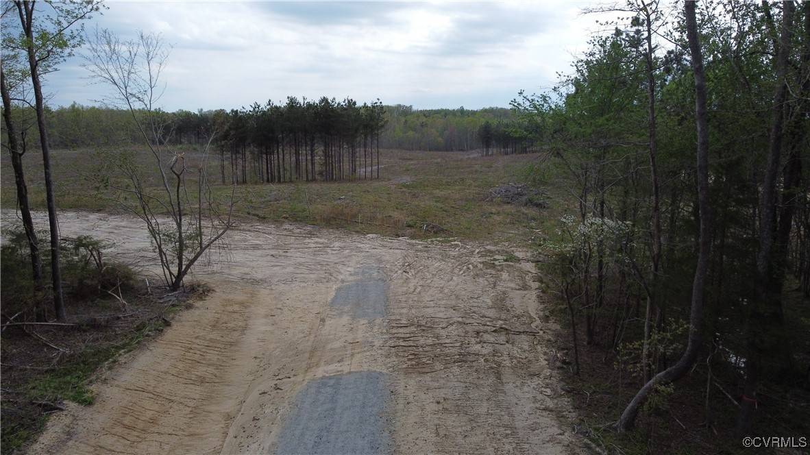 Rice, VA 23966,20.774 Acres Prince Edward HWY