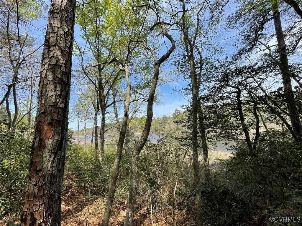 Heathsville, VA 22473,TBD Bouy DR