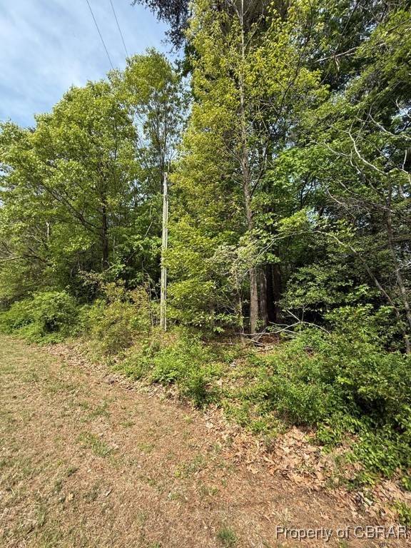 Lancaster, VA 22503,Lot 80 Doggett LN