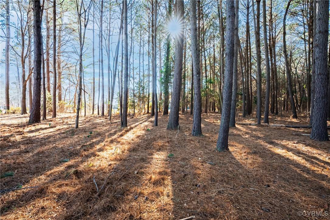 West Point, VA 23181,Lot 53D Georgia Avenue