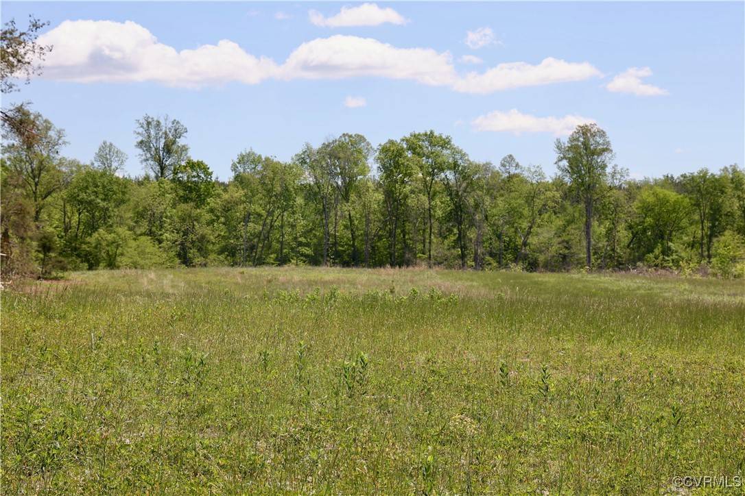 Mineral, VA 23117,0 Old Apple Grove RD
