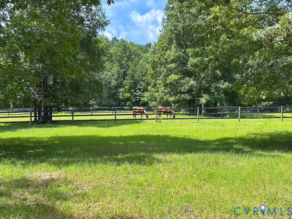 Waverly, VA 23890,4373 Newville RD