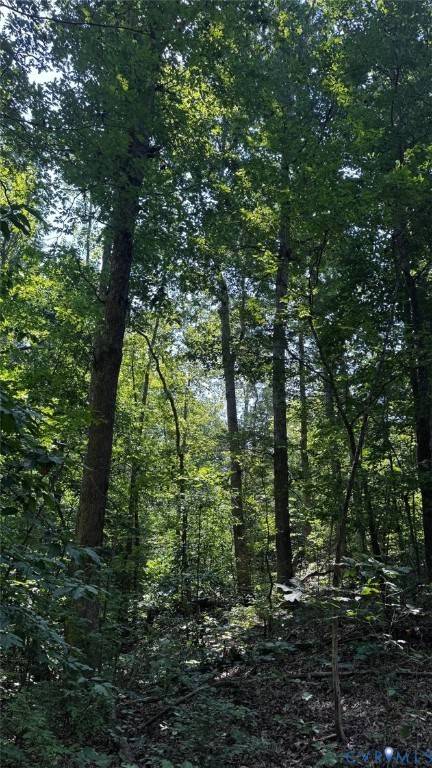 Blackstone, VA 23824,00 Old Shore RD