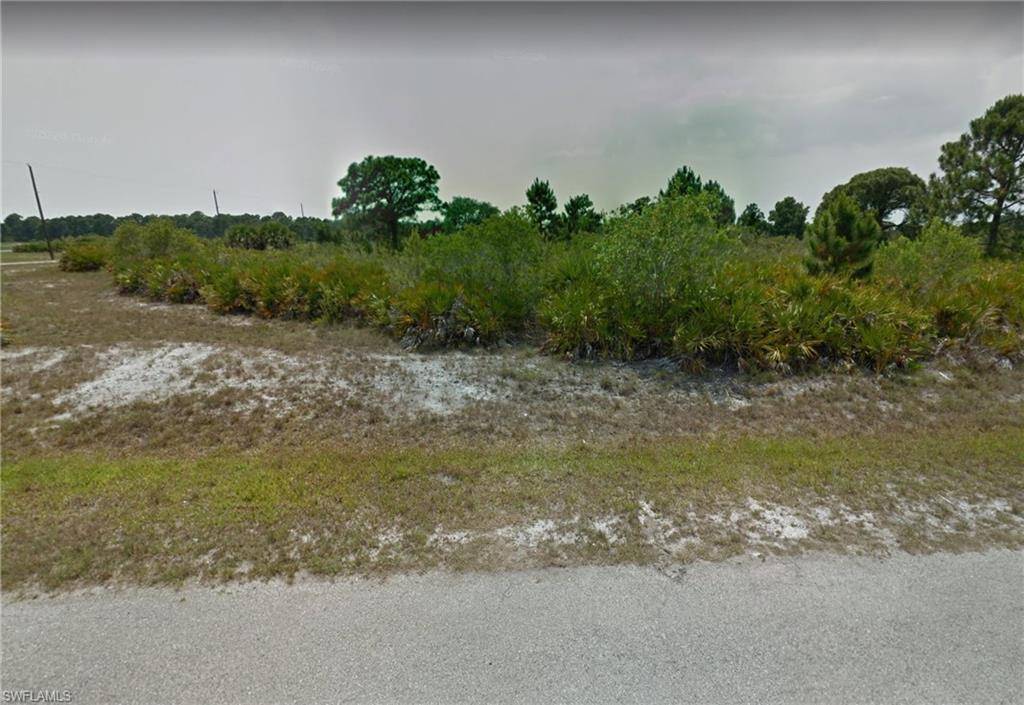 Placida, FL 33946,4 Dog CT