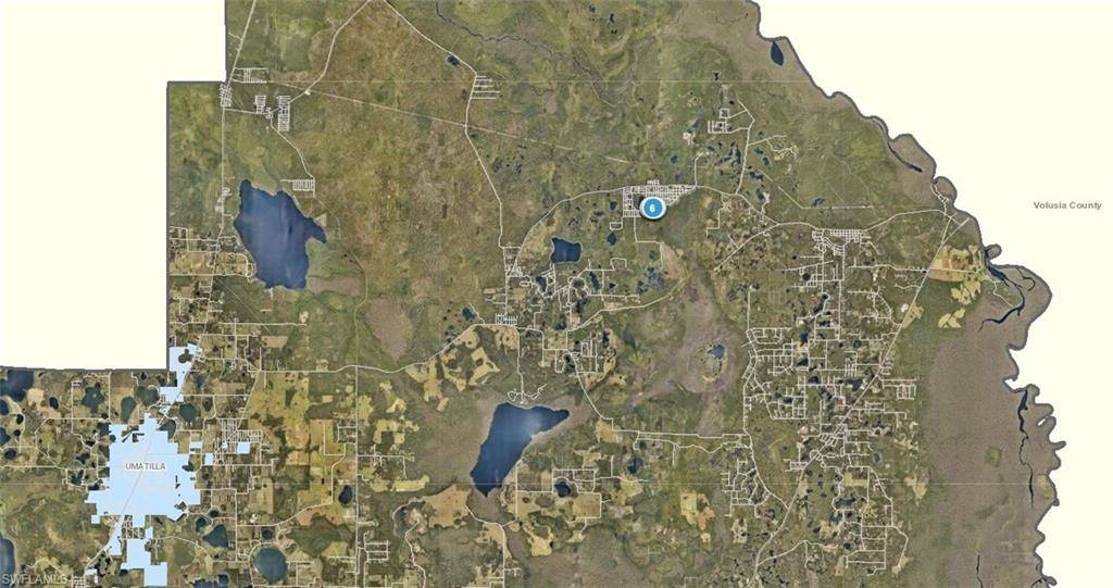 Paisley, FL 32767,Woodland AVE