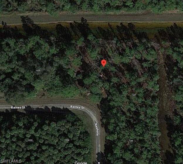 Lehigh Acres, FL 33974,1225 Raines ST E