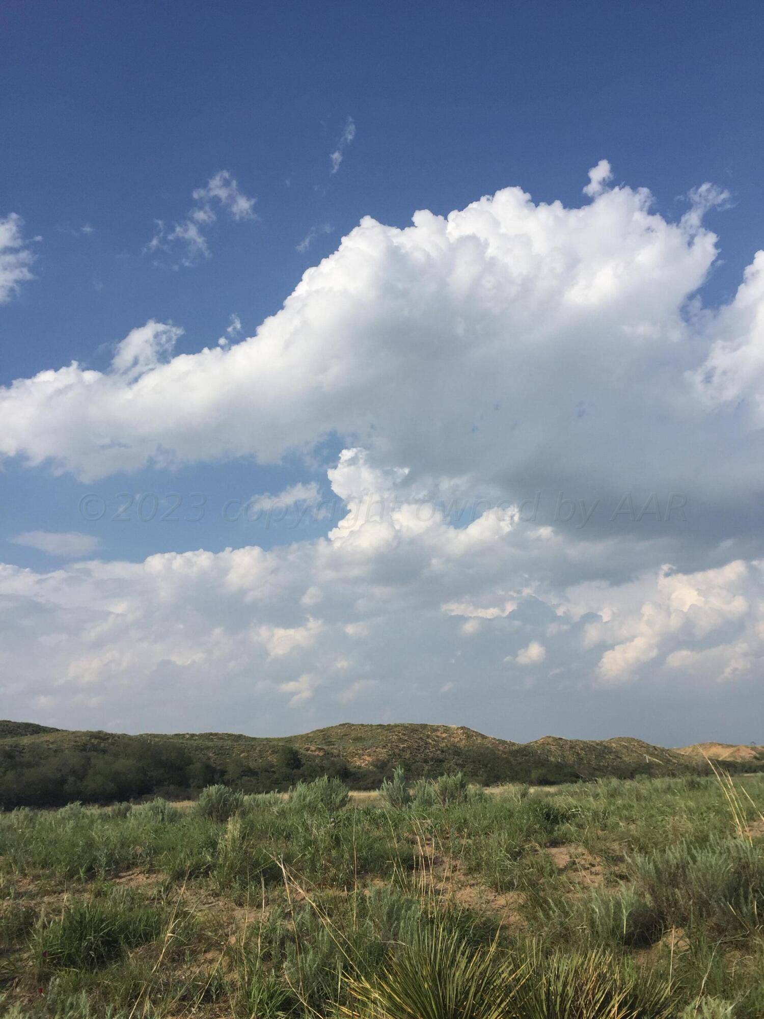 Dumas, TX 79029,201 Flint Acres DR