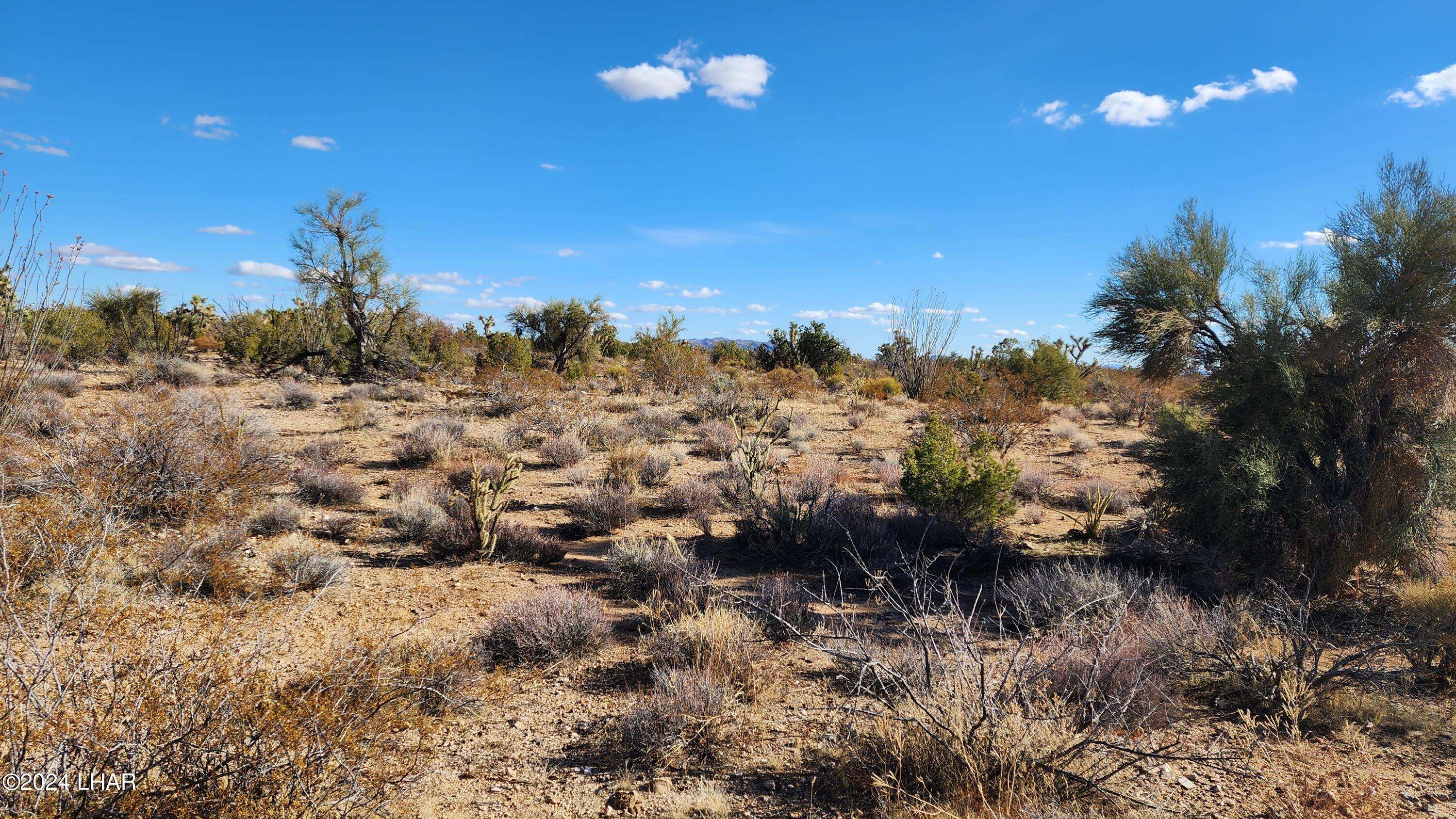 Yucca, AZ 86438,166 S Cattle Crossing Rd