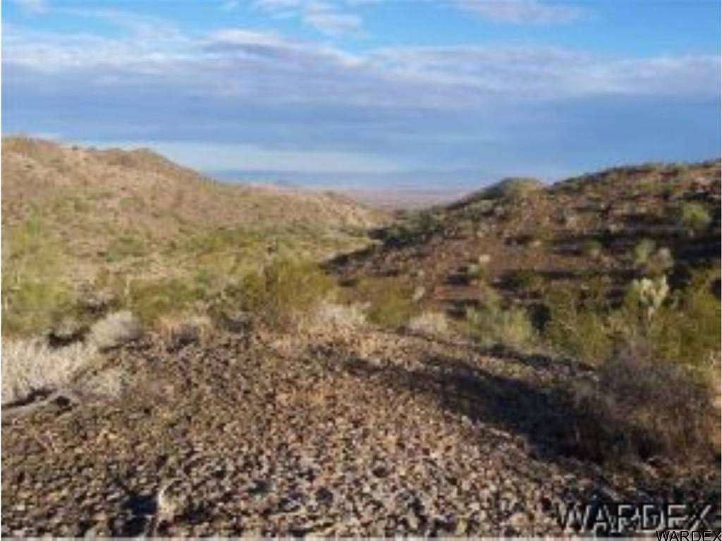 Lake Havasu City, AZ 86404,0000 Lone Tree Mtn Rd