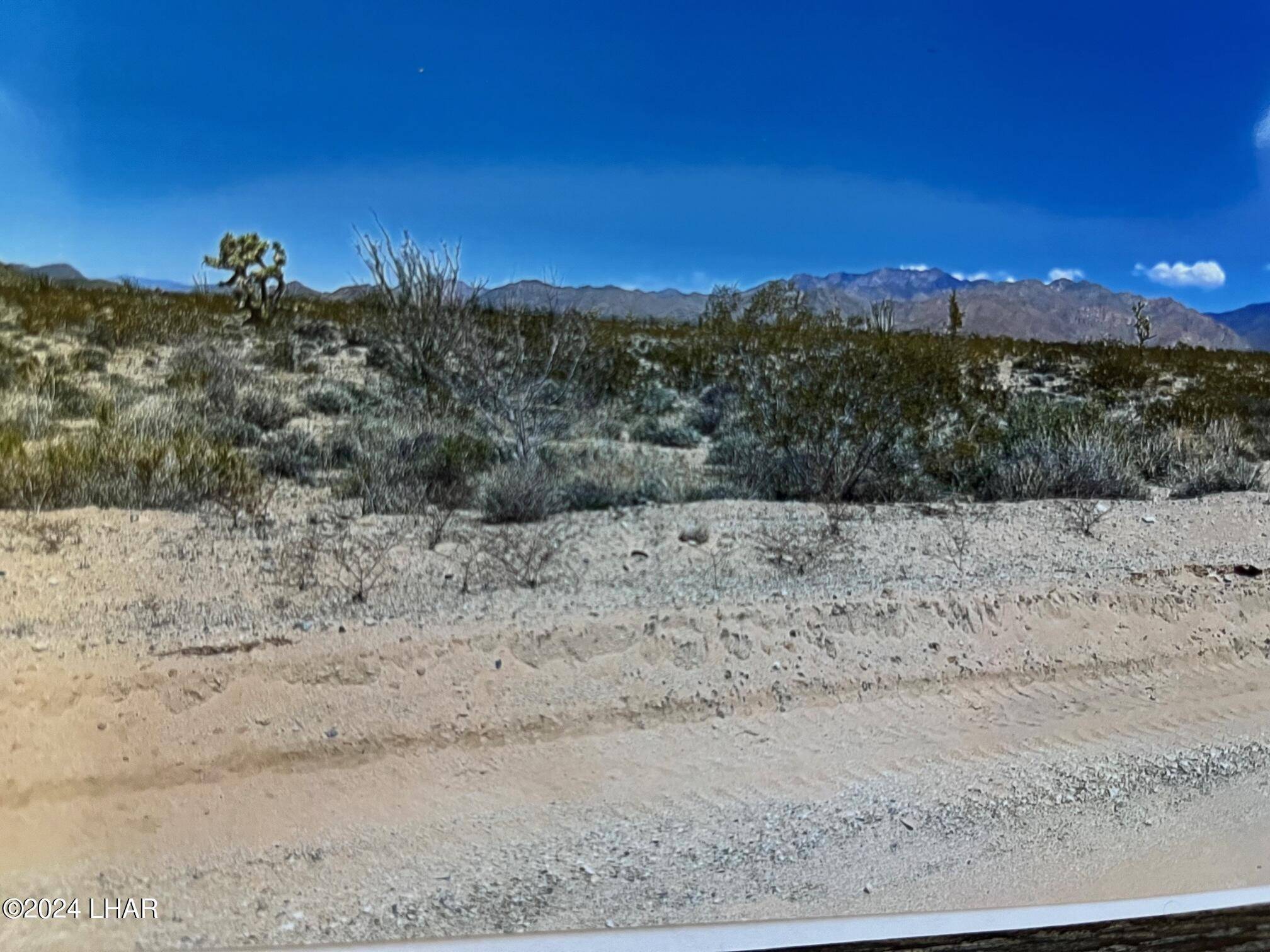 Yucca, AZ 86438,0000 P9 N Knox Dr